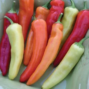 hot-pepper-hungarian-hot-wax Hot Pepper 'Hungarian Hot Wax'