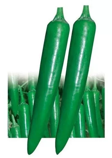 hot-pepper-shanti Hot Pepper-Shanti
