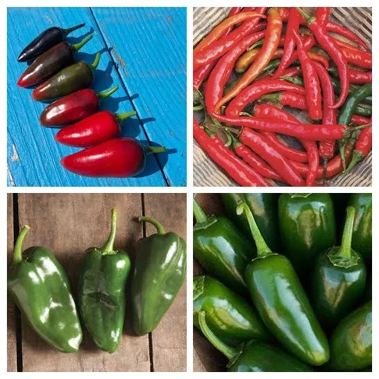 hot-pepper-variety-4-pack Hot Pepper Variety 4-pack