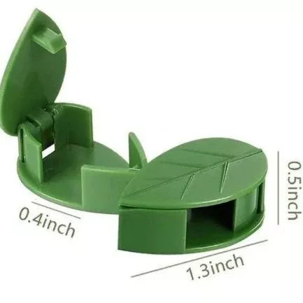 houseplant-climbing-wall-clips-10-pack Houseplant Climbing Wall Clips- 10 Pack