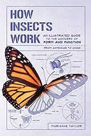 how-insects-work How Insects Work
