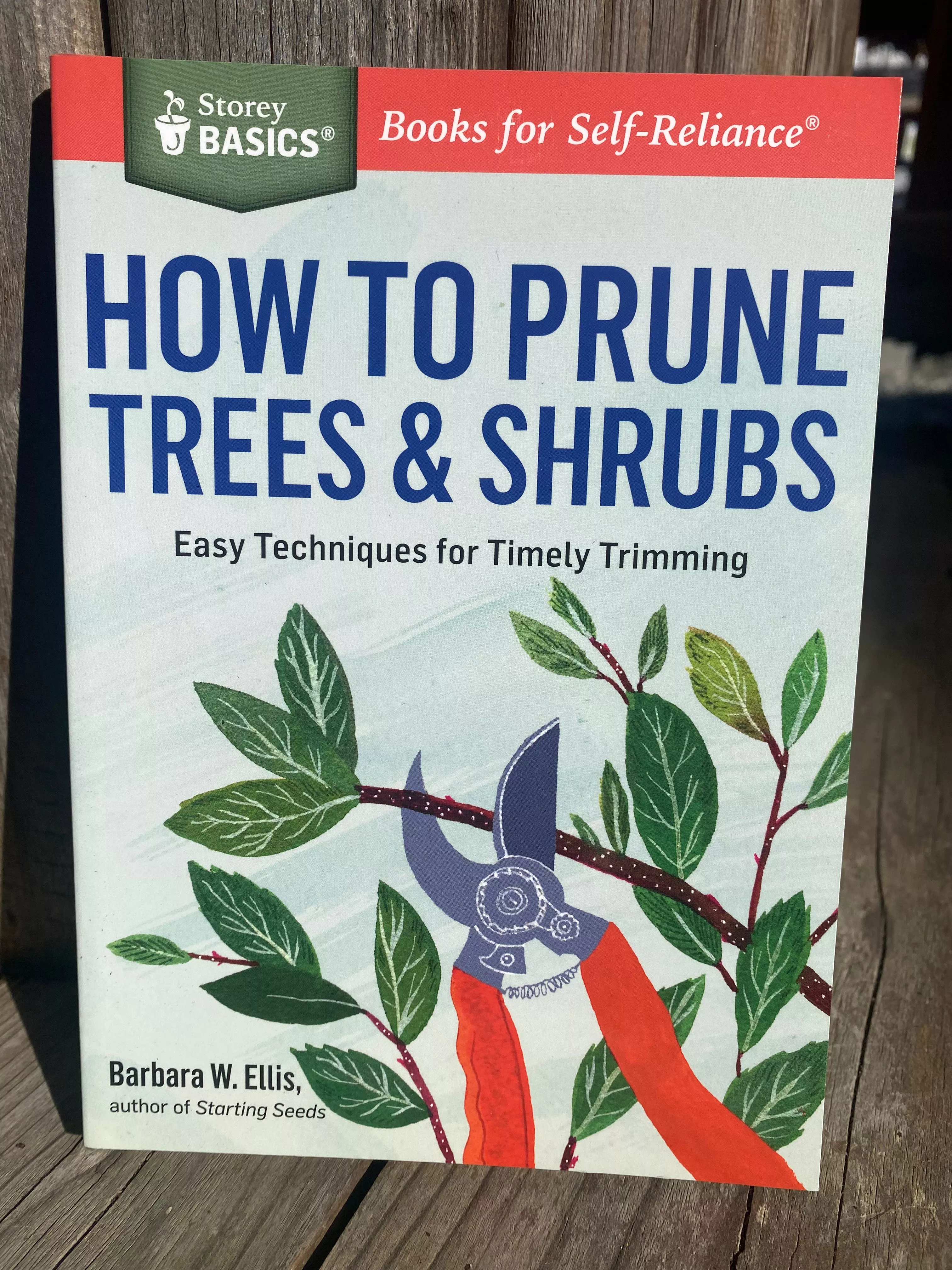 how-to-prune-trees-shrubs How to Prune Trees and Shrubs