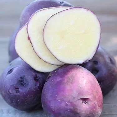 huckleberry-gold-first-low-glycemic-potato Huckleberry Gold: The First Low Glycemic Potato!