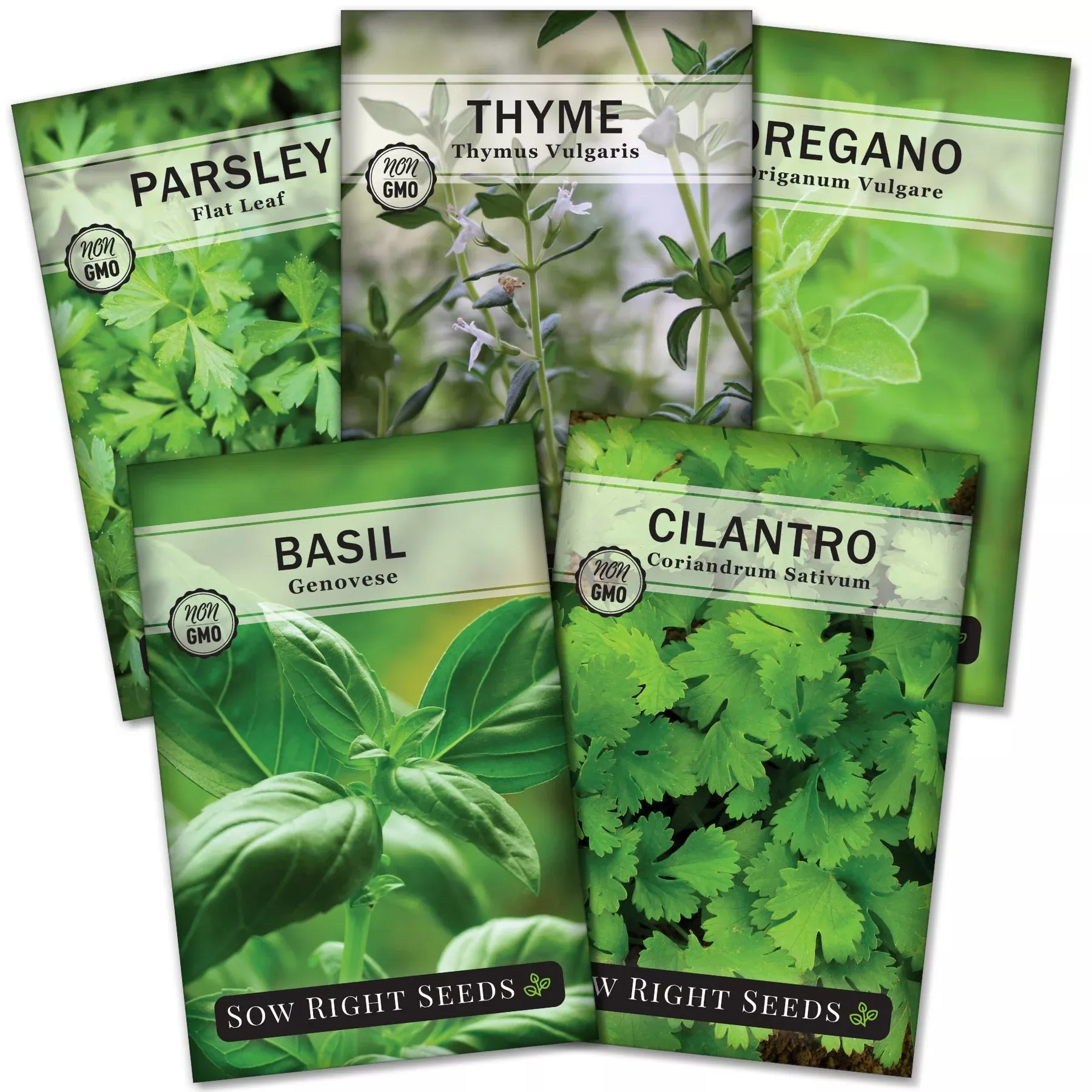 hydroponic-herb-collection Hydroponic Herb Collection