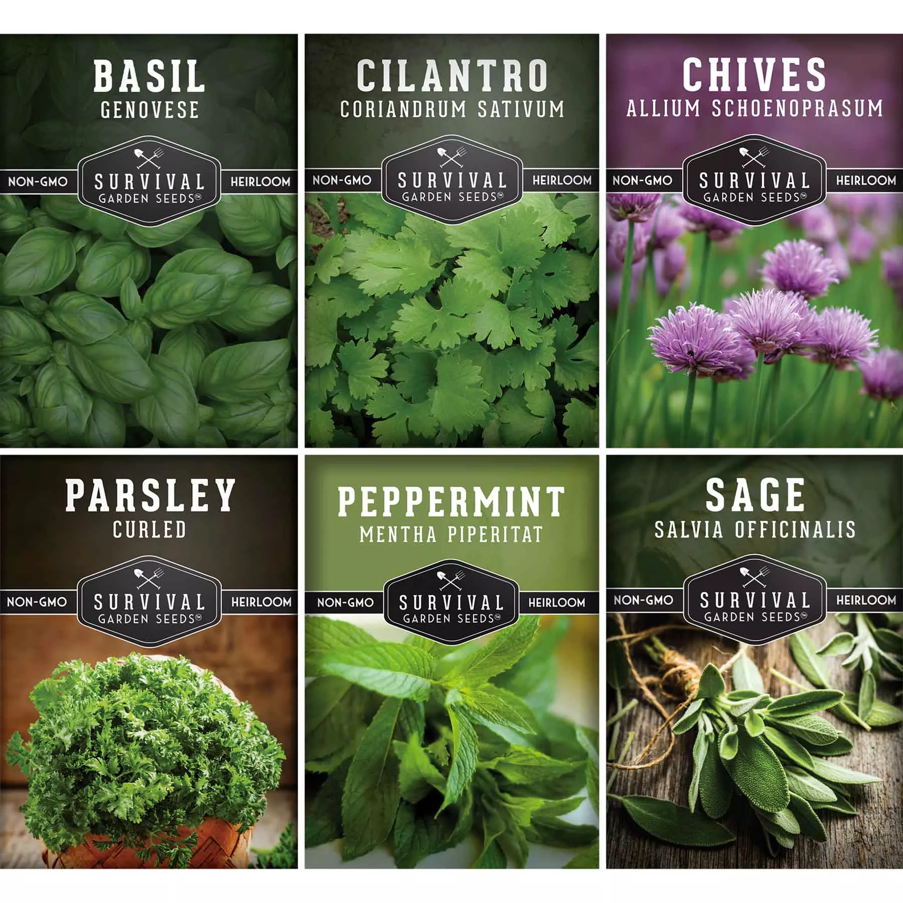 hydroponic-herb-seed-collection Hydroponic Herb Seed Collection