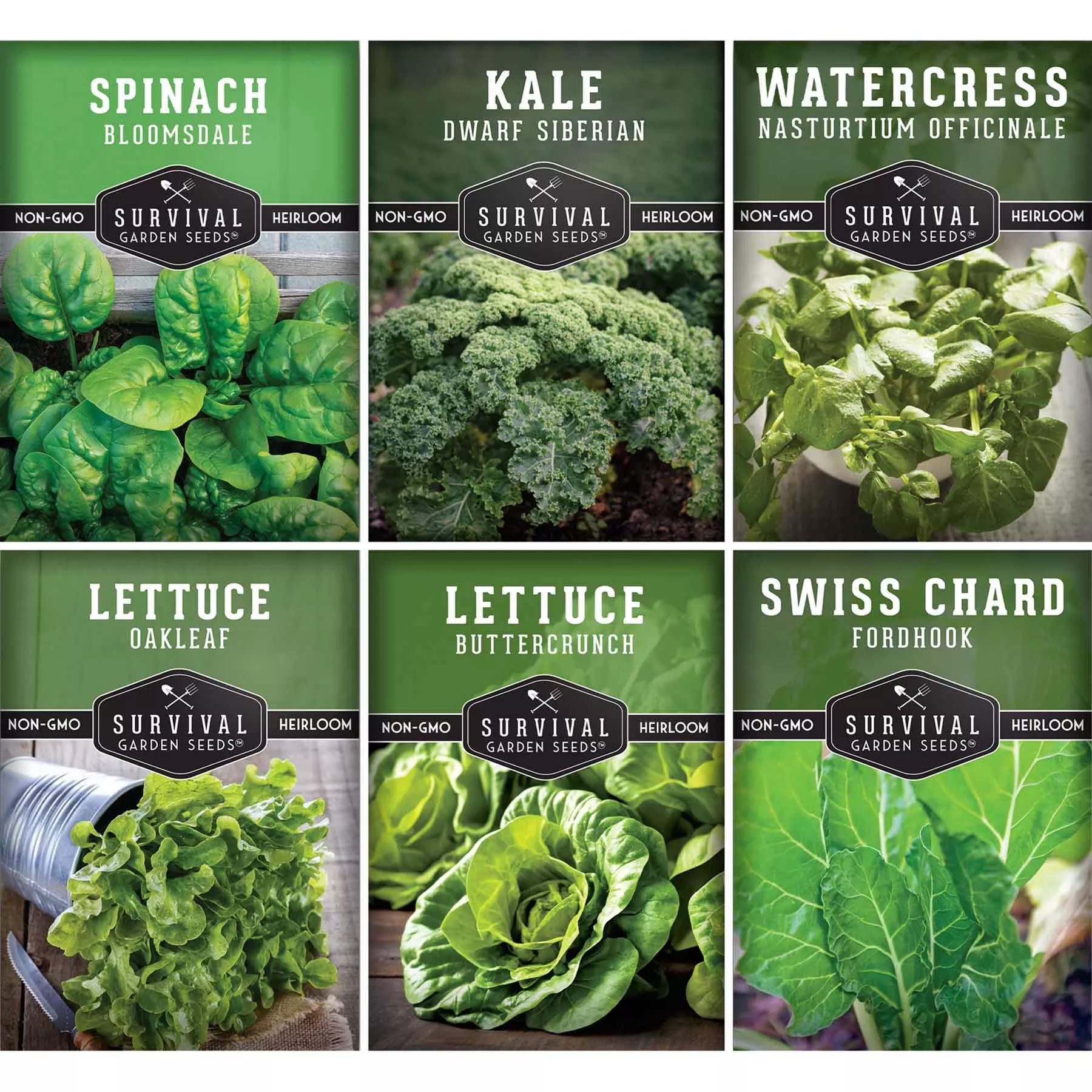 hydroponic-vegetable-seed-collection Hydroponic Vegetable Seed Collection