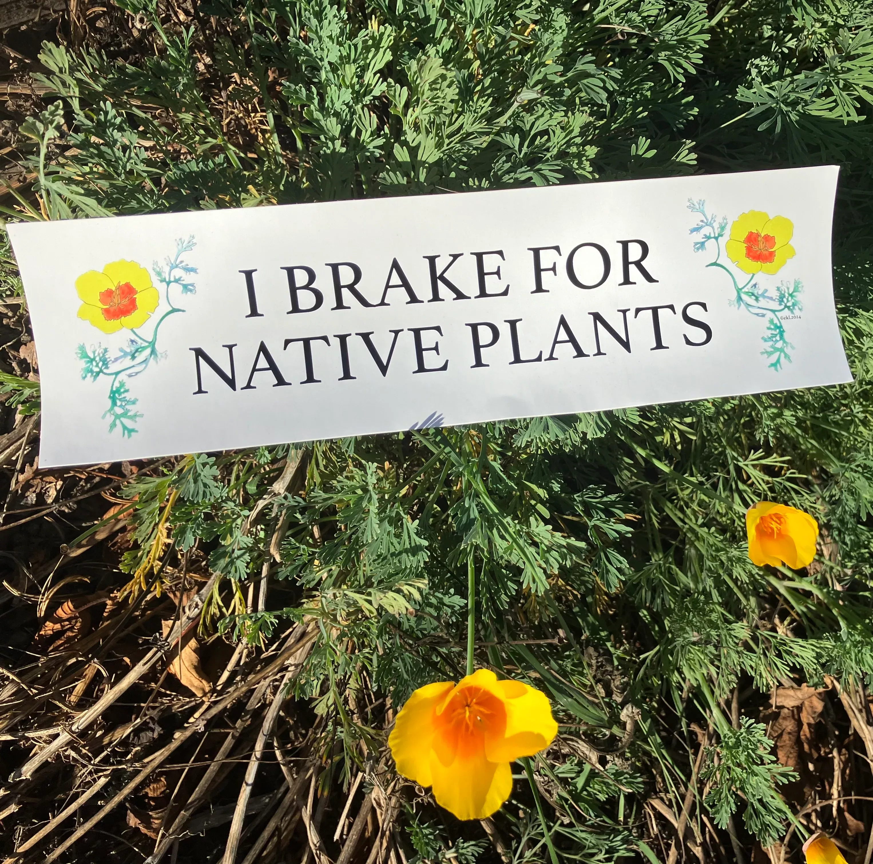 i-brake-native-plants-bumper-sticker "I Brake For Native Plants" Bumper Sticker