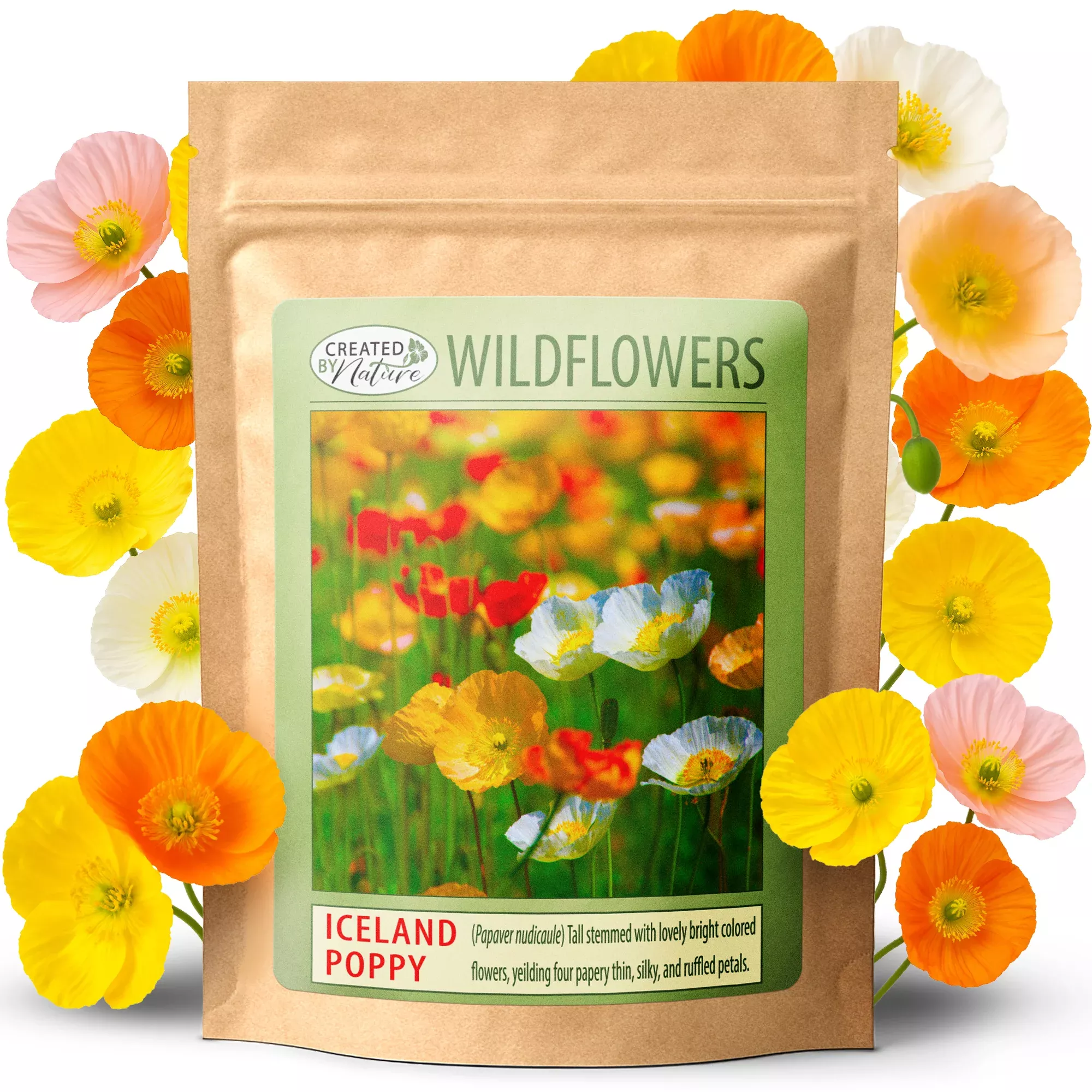 Iceland Poppy Wildflower Seeds