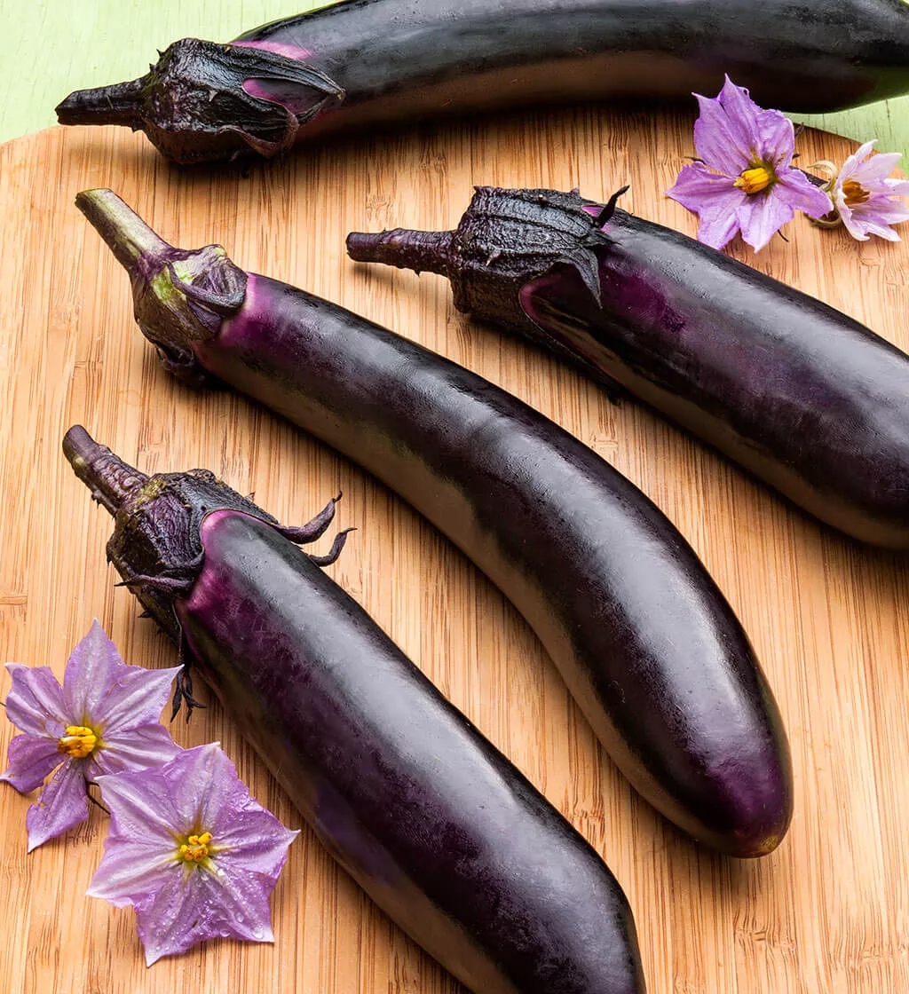 ichiban-eggplant-2-pack Ichiban Eggplant (2 Pack)