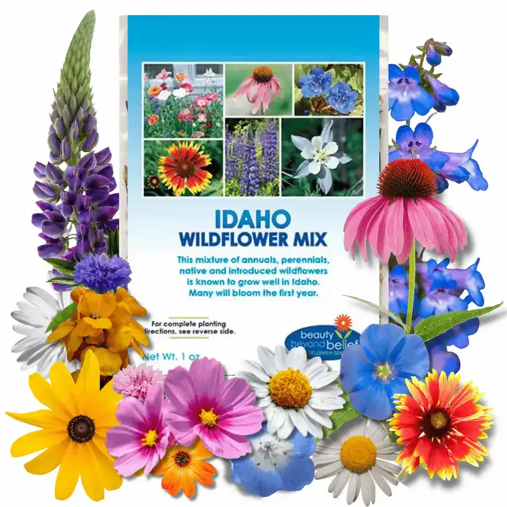 idaho-wildflower-mix Idaho Wildflower Mix