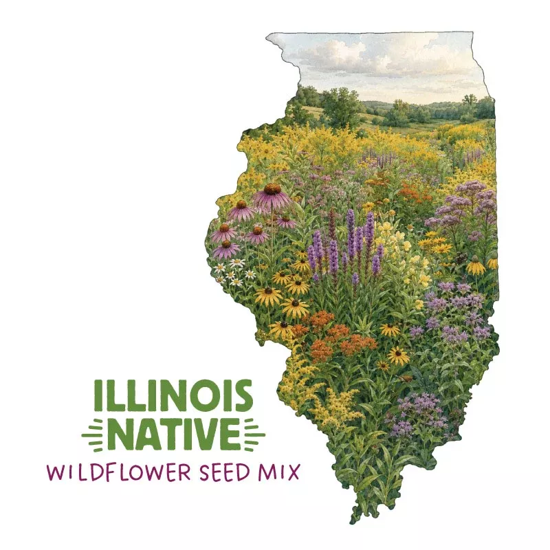 illinois-native-wildflower-seed-mix Illinois Native Wildflower Seed Mix