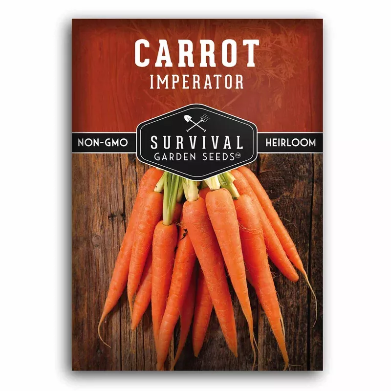imperator-58-carrot-seeds-heirloom-non-gmo-sweet-tender-aas-winning-carrots-gard Imperator 58 Carrot Seeds – Heirloom Non-GMO, Sweet and Tender AAS-Winning Carrots for Garden Beds, Containers, and Home Harvests
