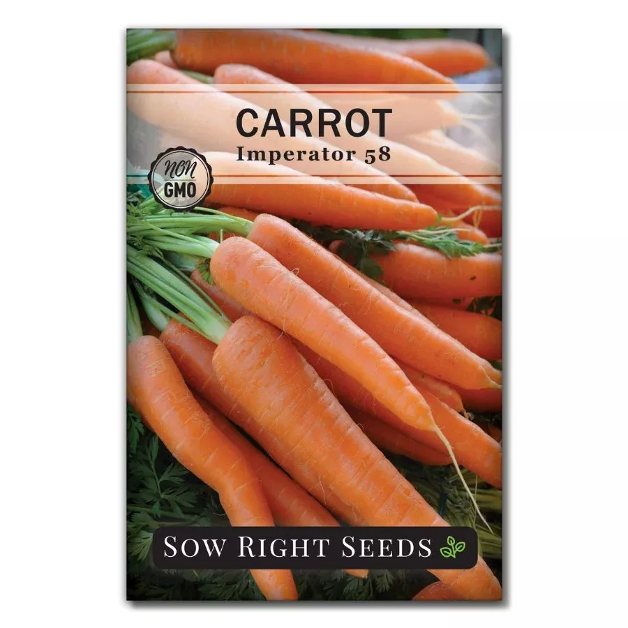 imperator-58-carrot-seeds Imperator 58 Carrot Seeds
