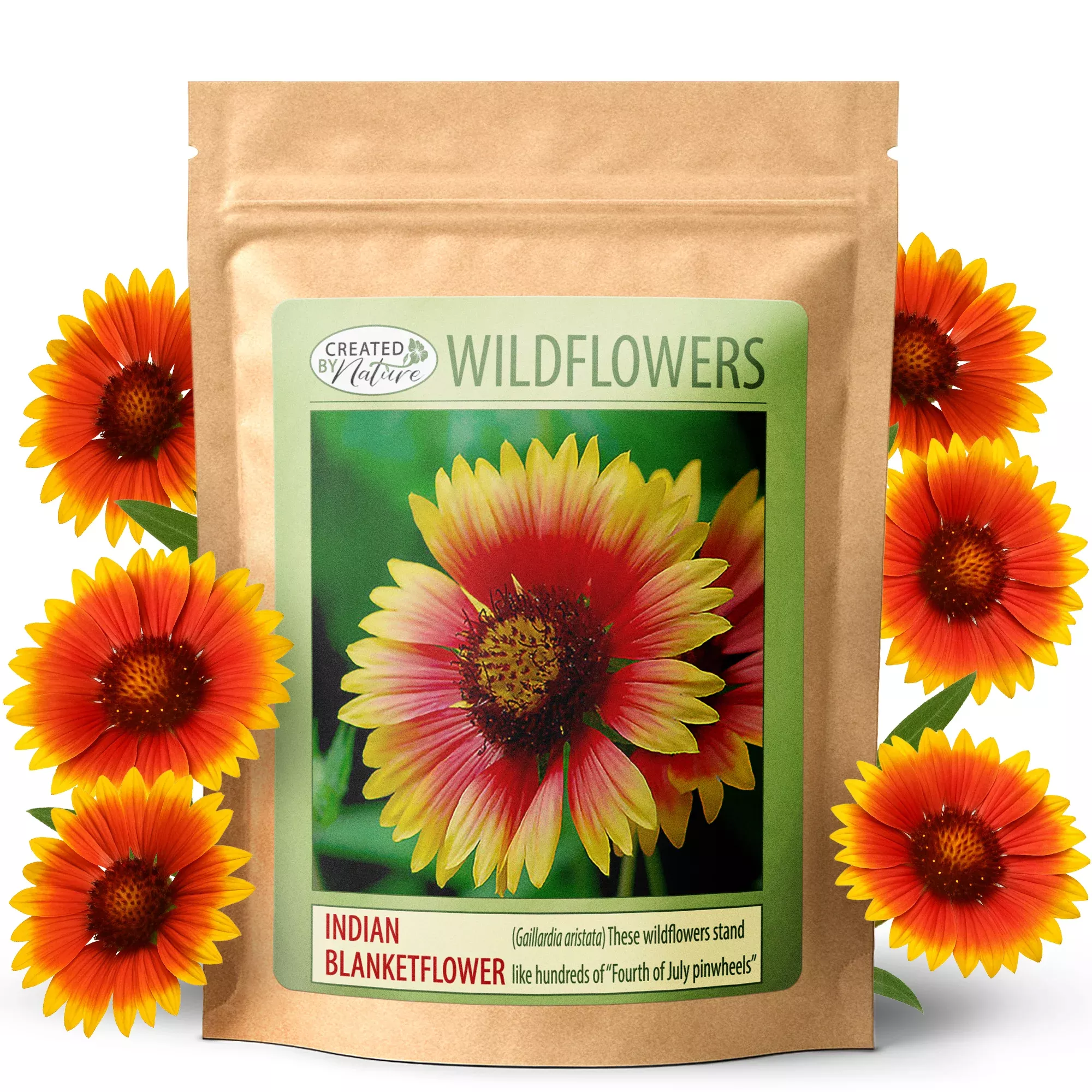 Indian Blanket Flower Wildflower Seeds