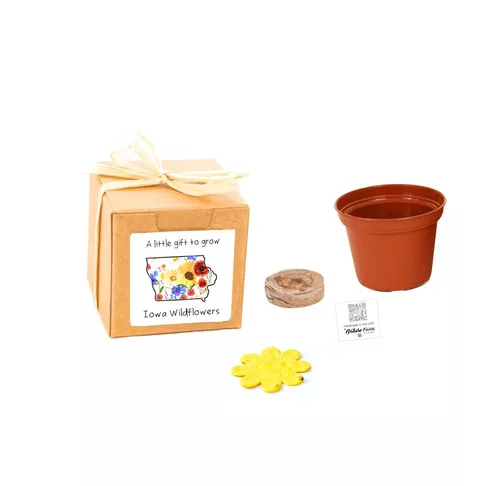 iowa-gift-box-grow-kits-wildflower-seeds-by-nature-favors Iowa Gift Box Grow Kits™ Wildflower Seeds by Nature Favors™