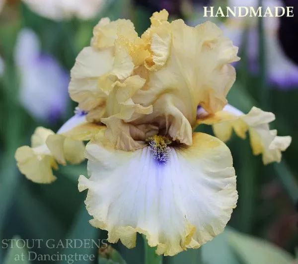 iris-handmade Iris Handmade