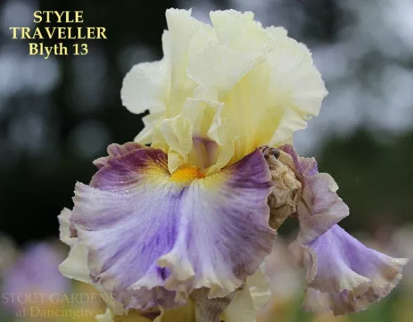 iris-style-traveller Iris Style Traveller