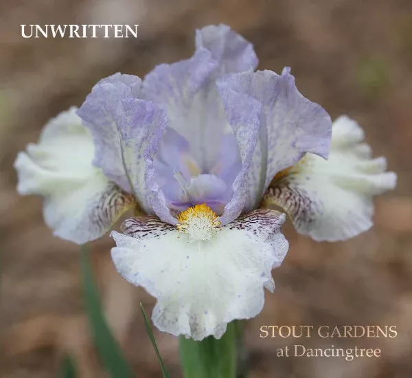 iris-unwritten Iris Unwritten