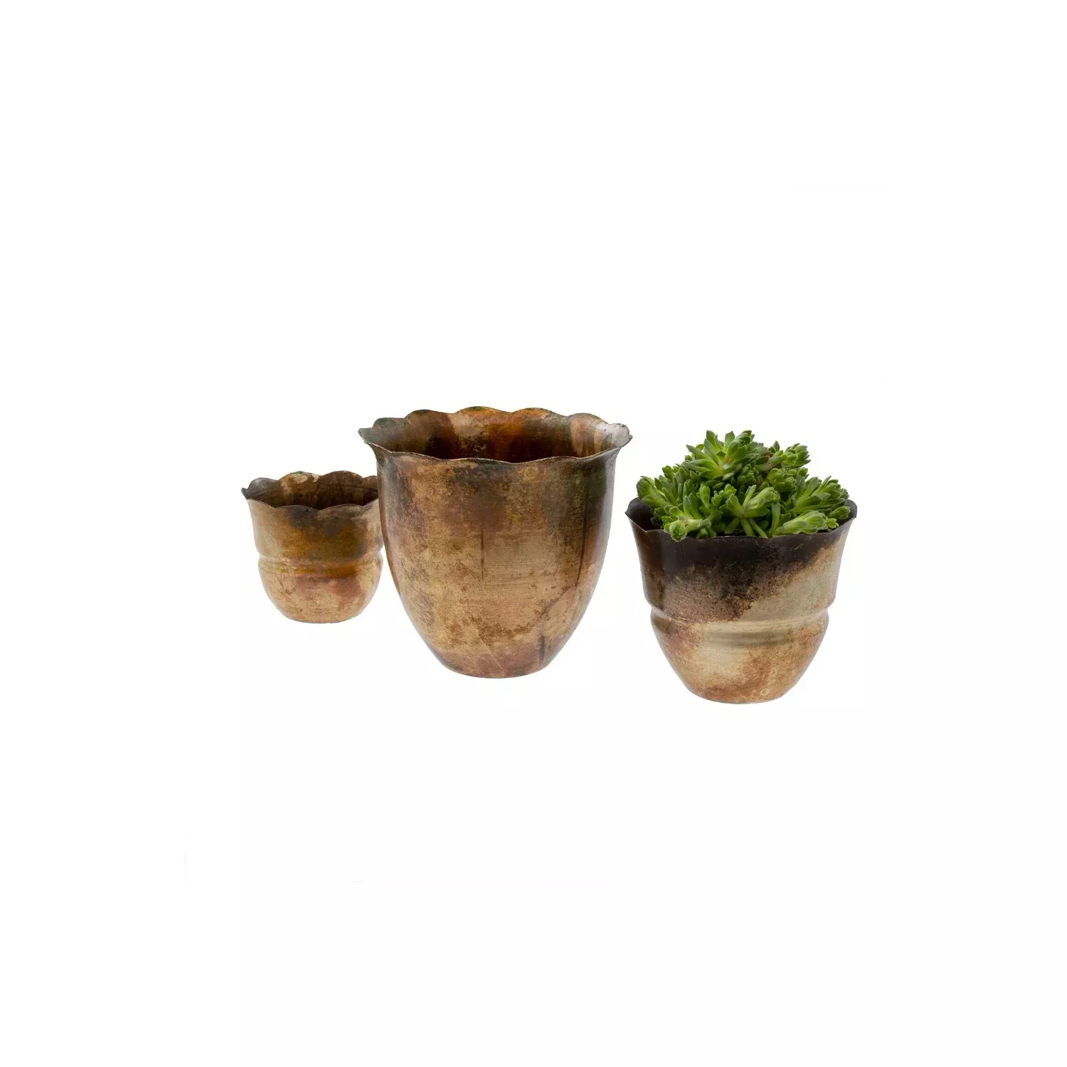Iron Petal Pots