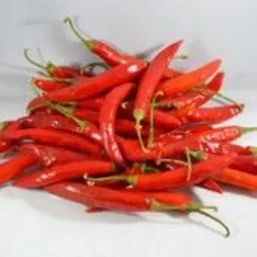 island-hellfire-pepper-seeds Island Hellfire Pepper Seeds