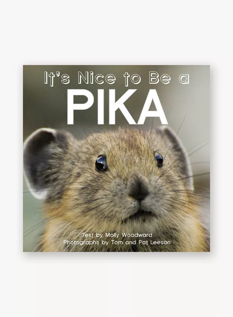 it-s-nice-to-be-pika It's Nice to Be a Pika