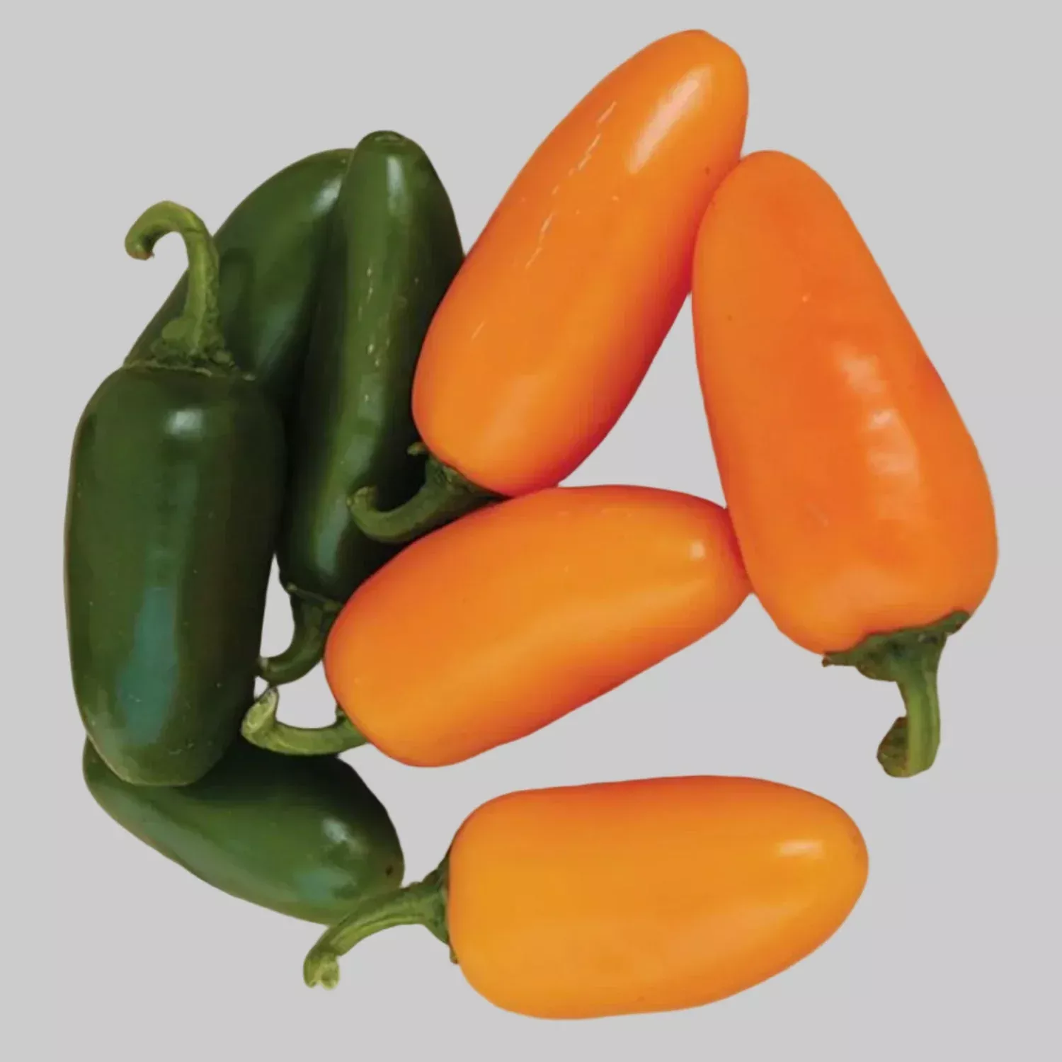 jalapeno-orange-hot-pepper-seeds Jalapeno Orange Hot Pepper Seeds