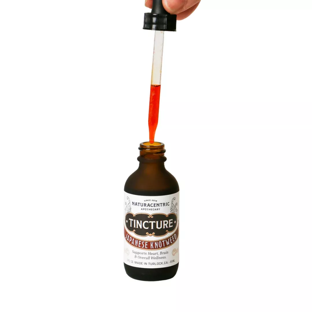 japanese-knotweed-hu-zhang-tincture Japanese Knotweed (Hu Zhang) Tincture