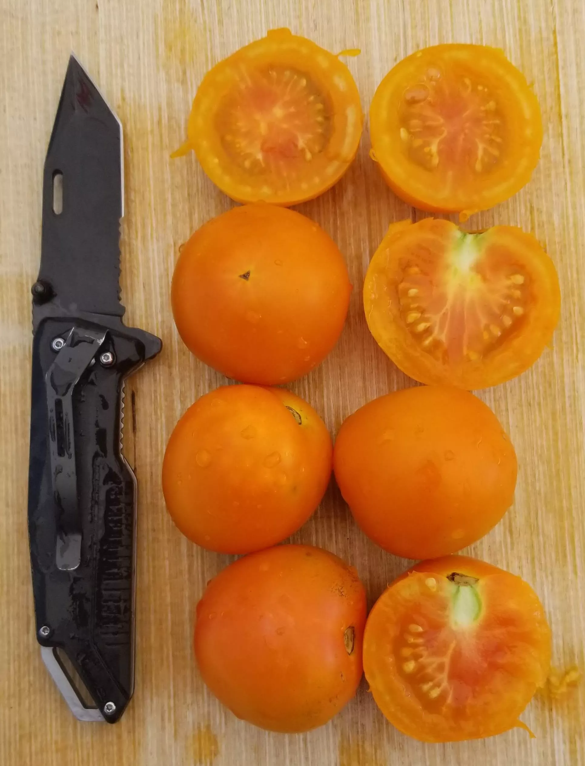 jaune-flamme-tomato Jaune Flamme Tomato