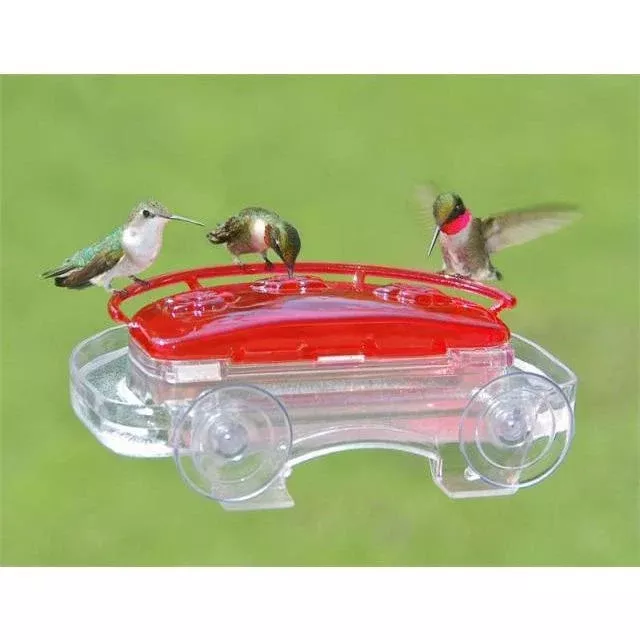 jewel-box-window-hummingbird-feeder Jewel Box Window Hummingbird Feeder