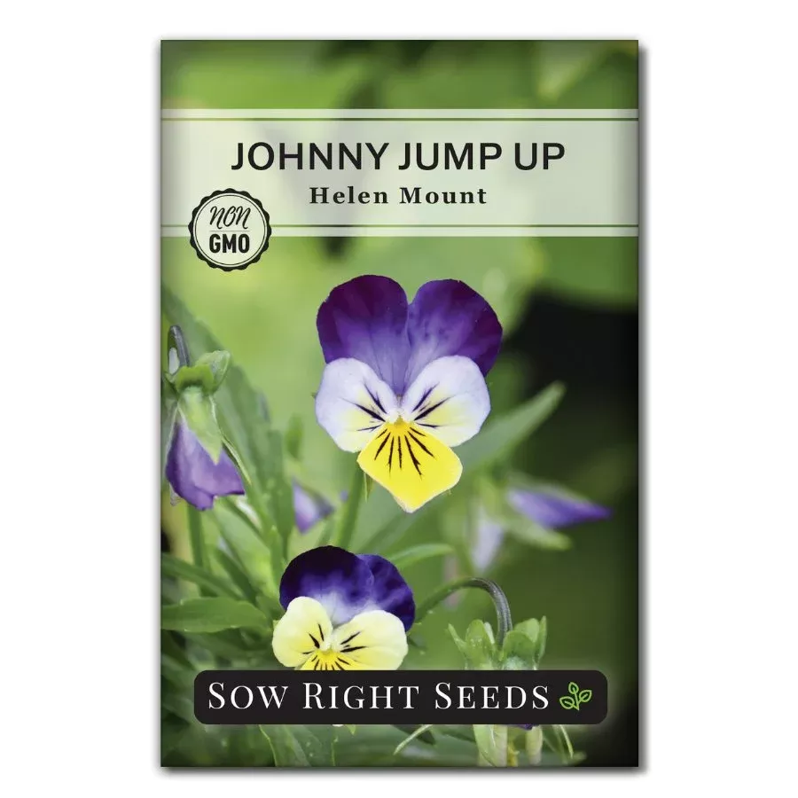 Johnny Jump-Up Violet