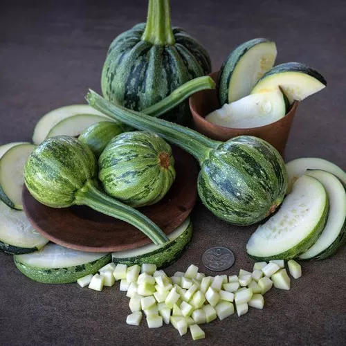 Kamo Kamo Squash