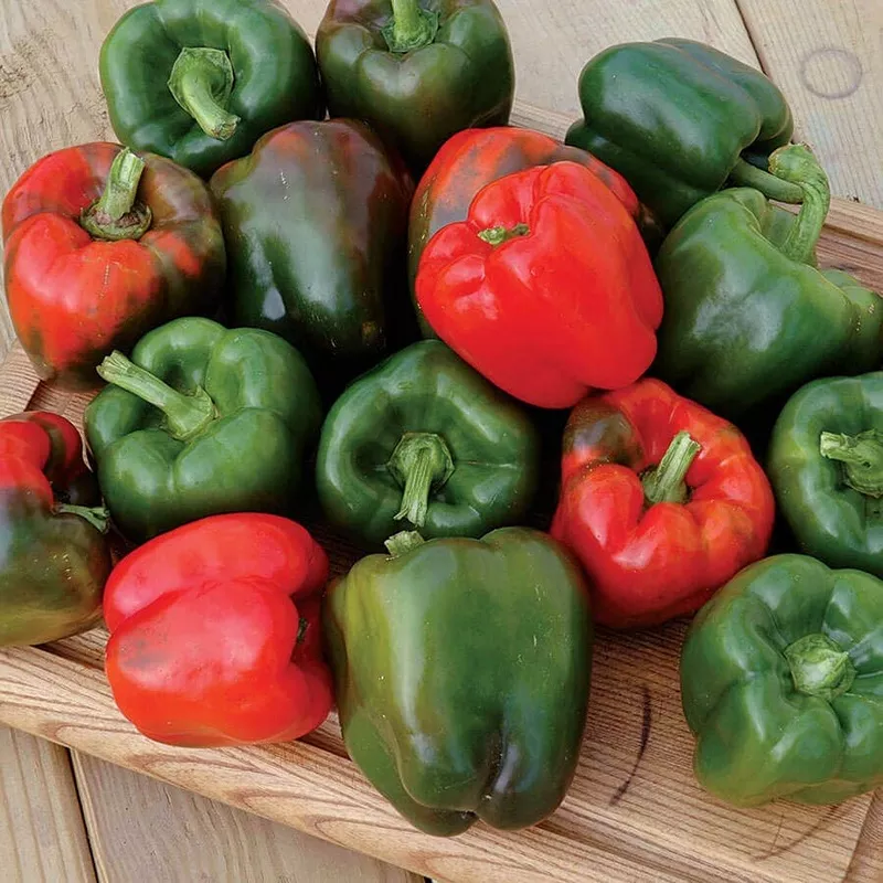 karisma-pepper-seeds Karisma Pepper Seeds