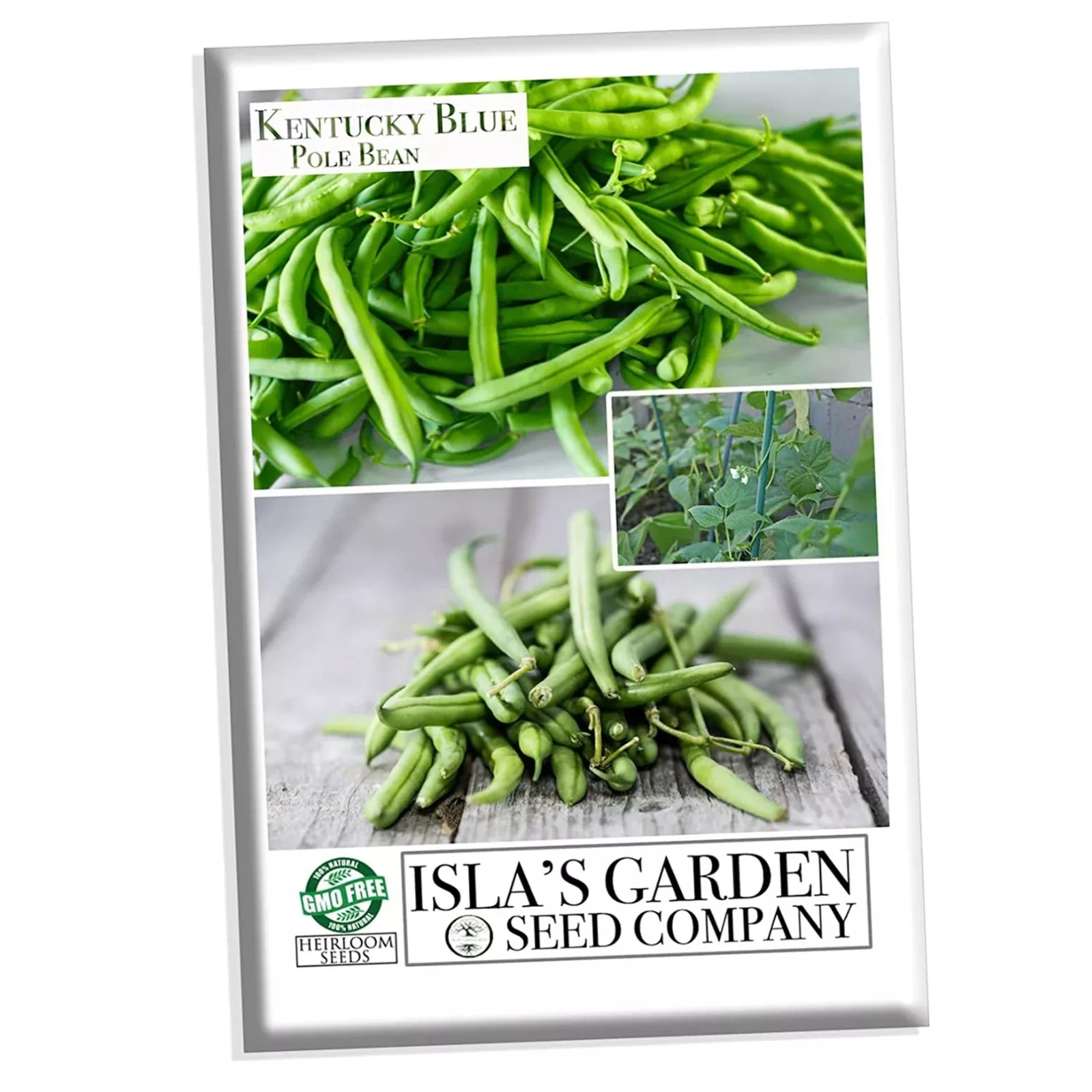 kentucky-blue-pole-bean-30-heirloom-seeds-per-packet-non-gmo-seeds Kentucky Blue pole bean, 30 Heirloom Seeds Per Packet, Non GMO Seeds