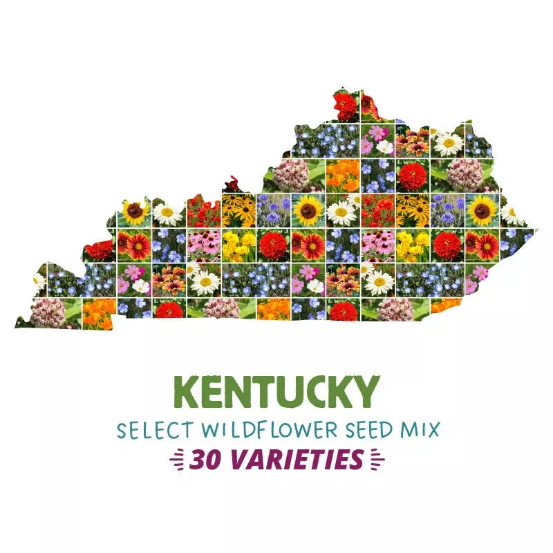 kentucky-select-wildflower-seed-mix Kentucky Select Wildflower Seed Mix