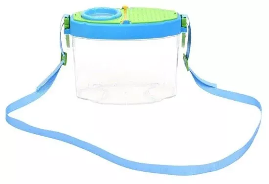 Kids Bug Studying Box