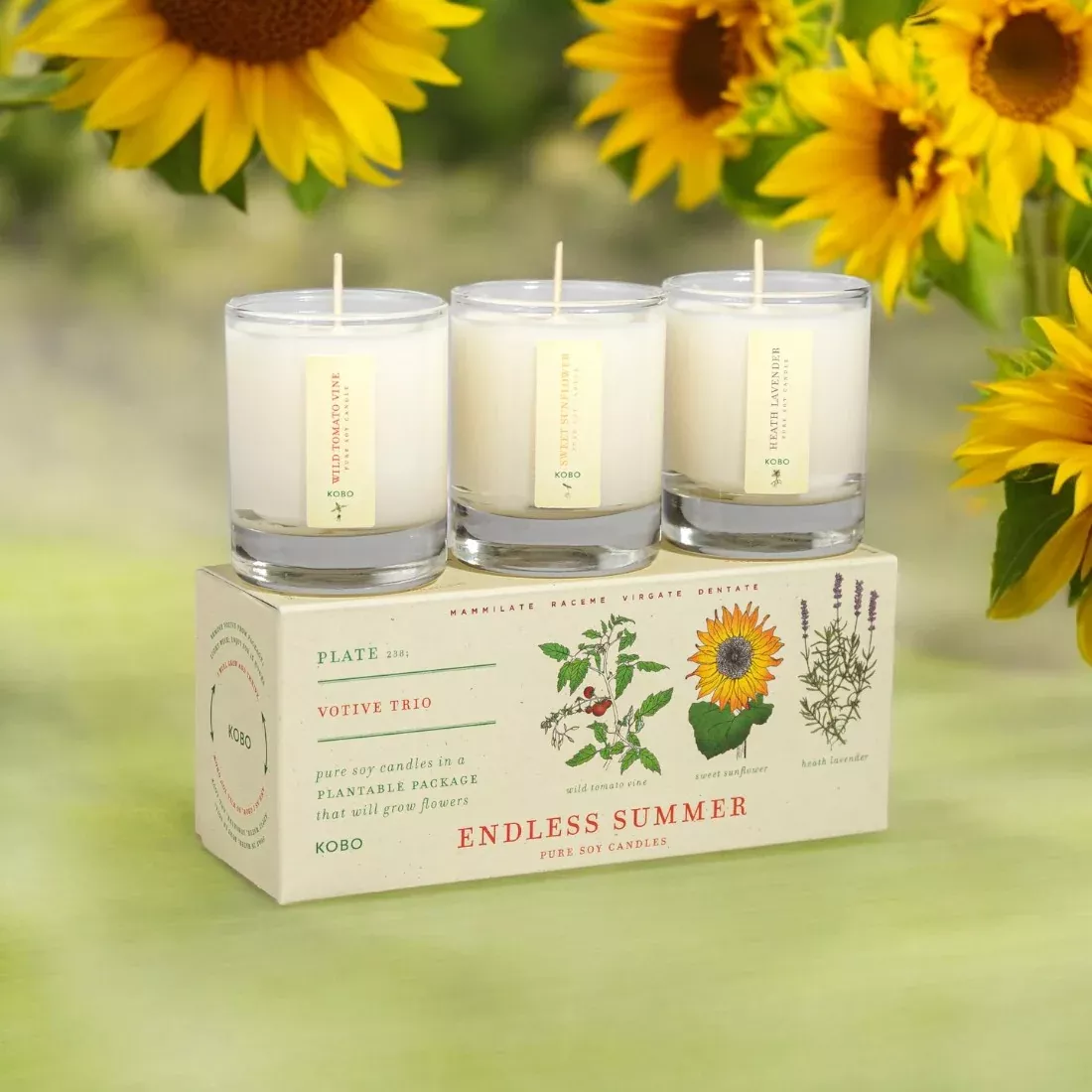 kobo-endless-summer-votive-candle-trio-plant-box KOBO Endless Summer Votive Candle Trio- Plant the Box!