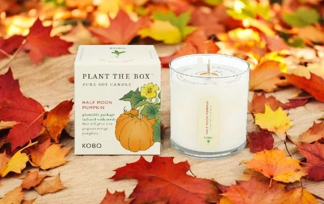 kobo-half-moon-pumpkin-candle-plant-box KOBO Half Moon Pumpkin Candle- Plant the Box!