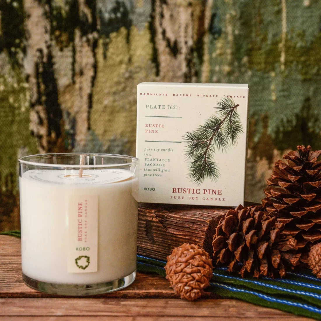 kobo-rustic-pine-candle-plant-box KOBO Rustic Pine Candle- Plant the Box!