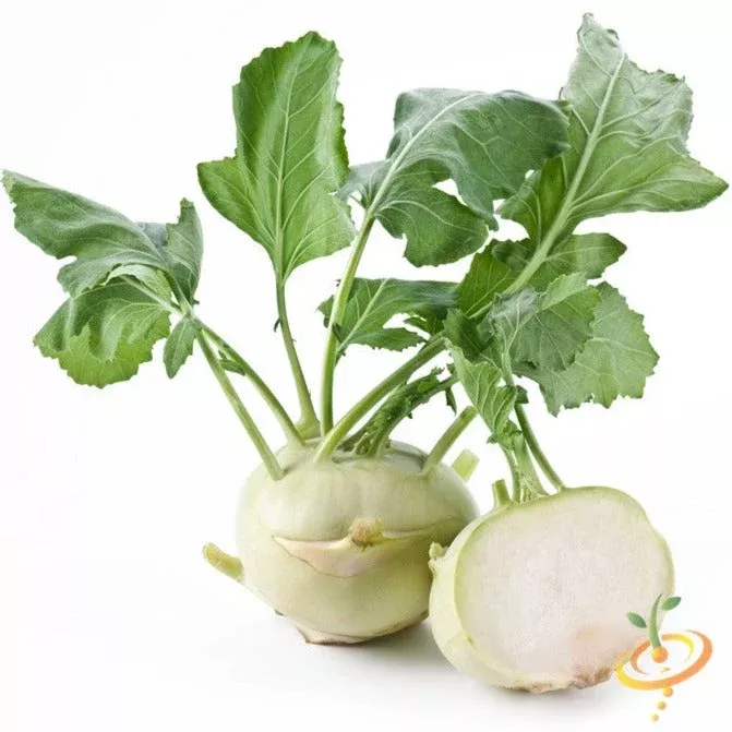 Kohlrabi - Delicatesse, White seeds