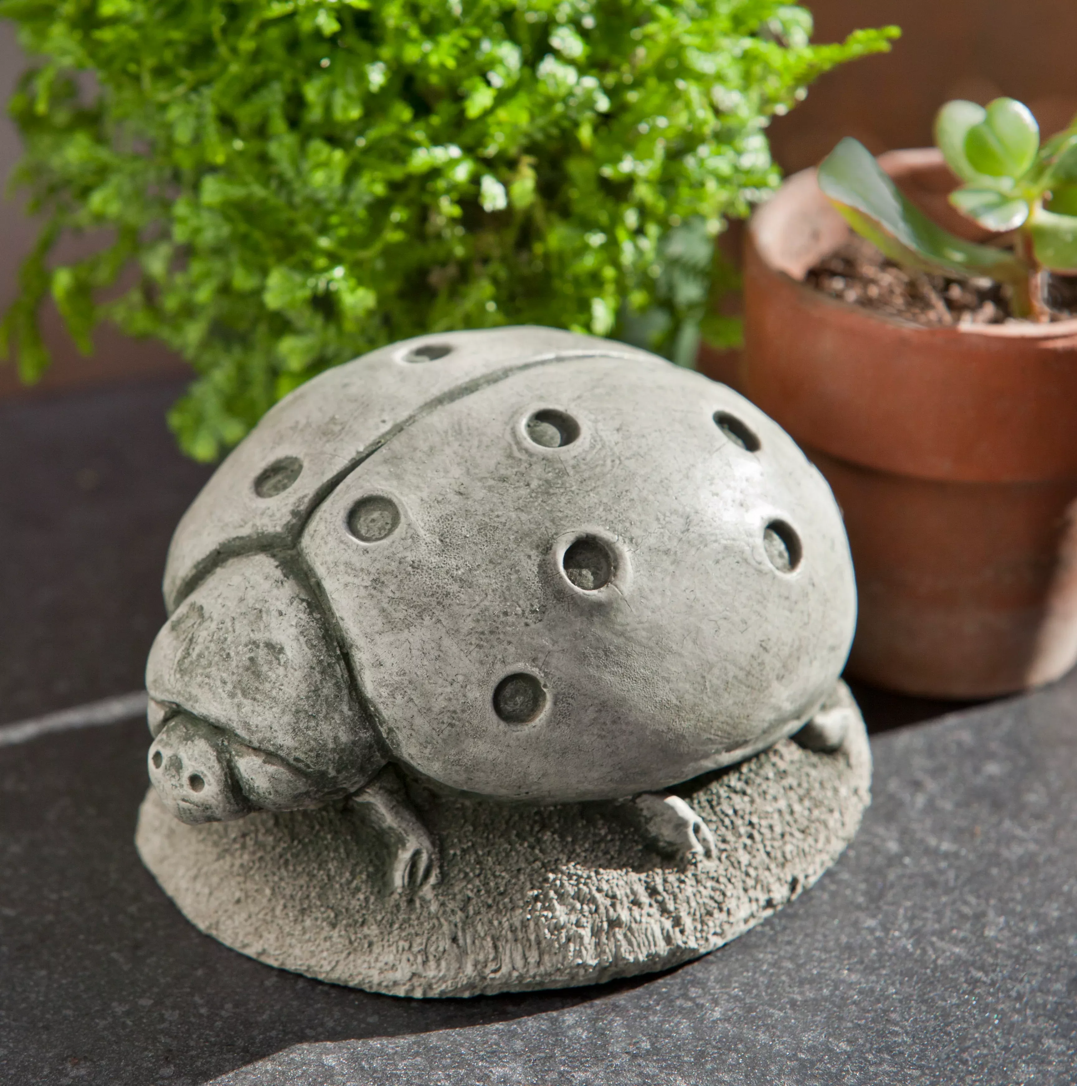 ladybug-by-campania-international Ladybug by Campania International