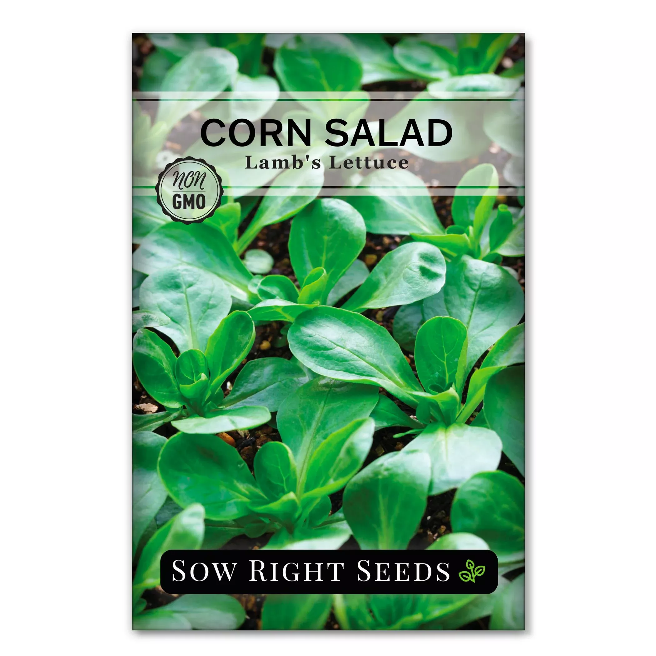 lamb-s-lettuce-corn-salad Lamb's Lettuce Corn Salad