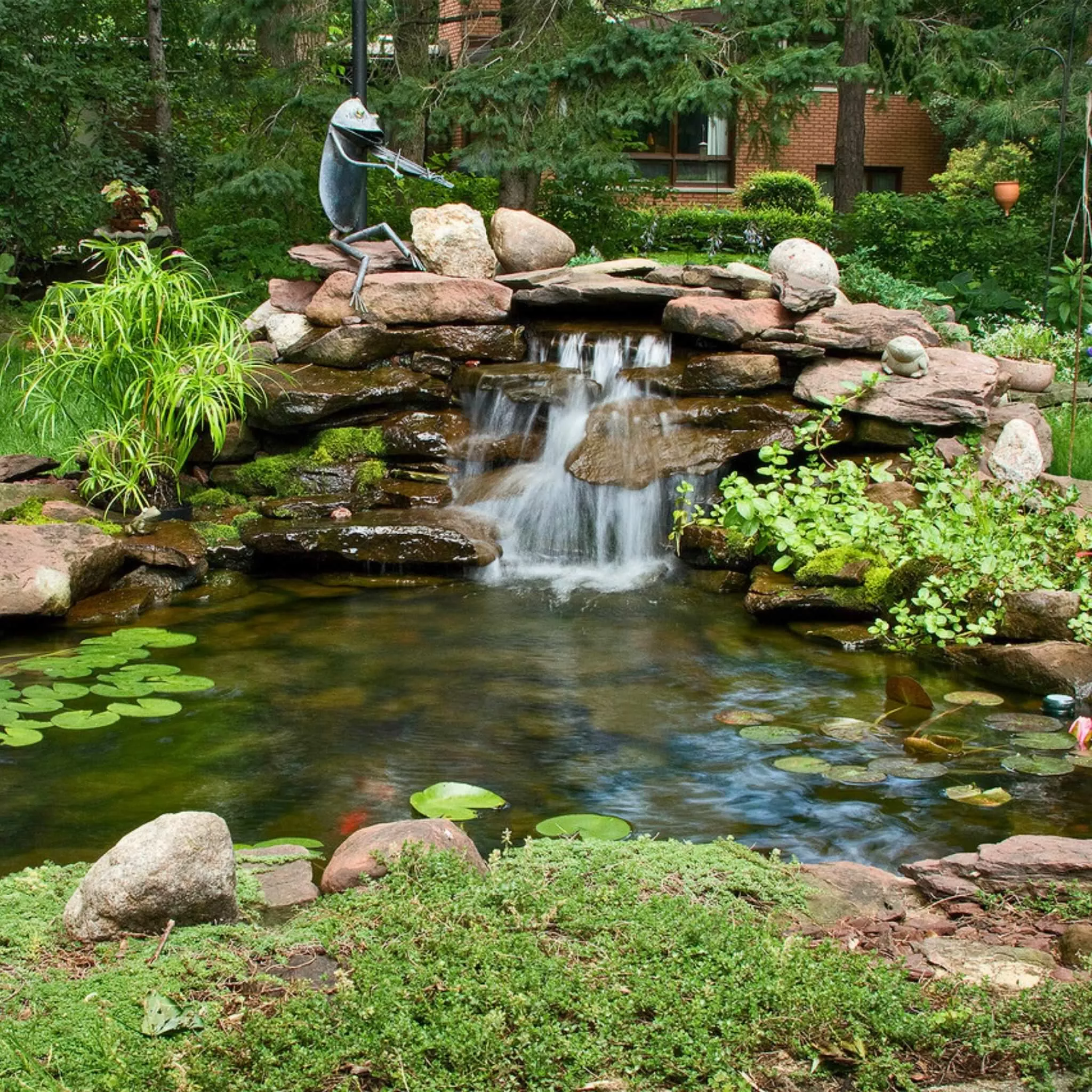 large-pond-diy-kit-blue-thumb Large Pond DIY Kit - Blue Thumb