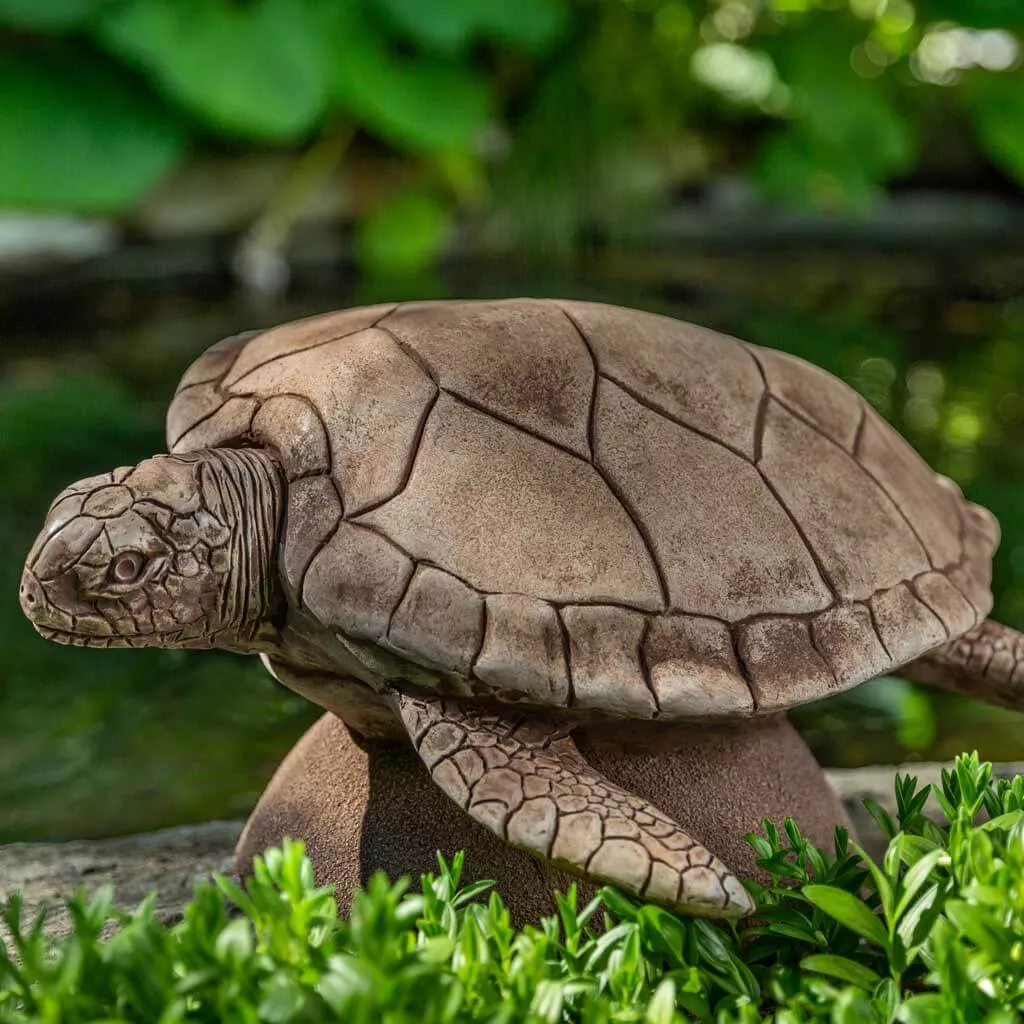 Large Sea Turtle By Campania International
