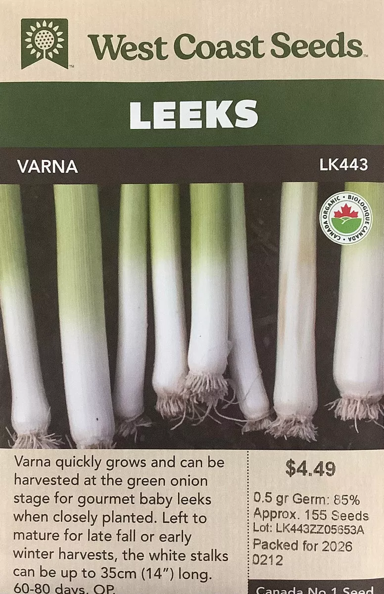 leeks-varna Leeks - Varna