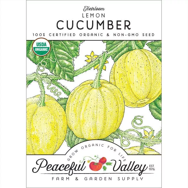 lemon-cucumber-seeds-organic Lemon Cucumber Seeds (Organic)
