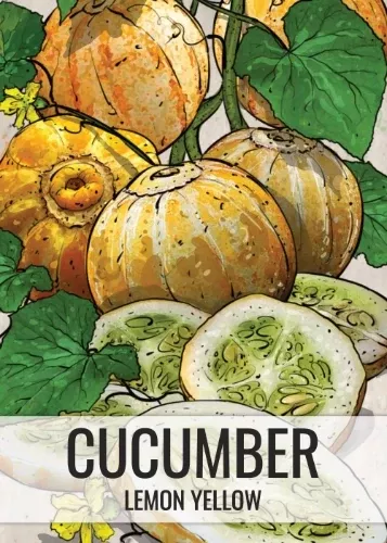 lemon-cucumber-seeds-planting-cucumis-sativus Lemon Cucumber Seeds For Planting (Cucumis sativus)