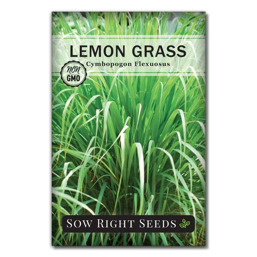 lemon-grass-seeds Lemon Grass Seeds