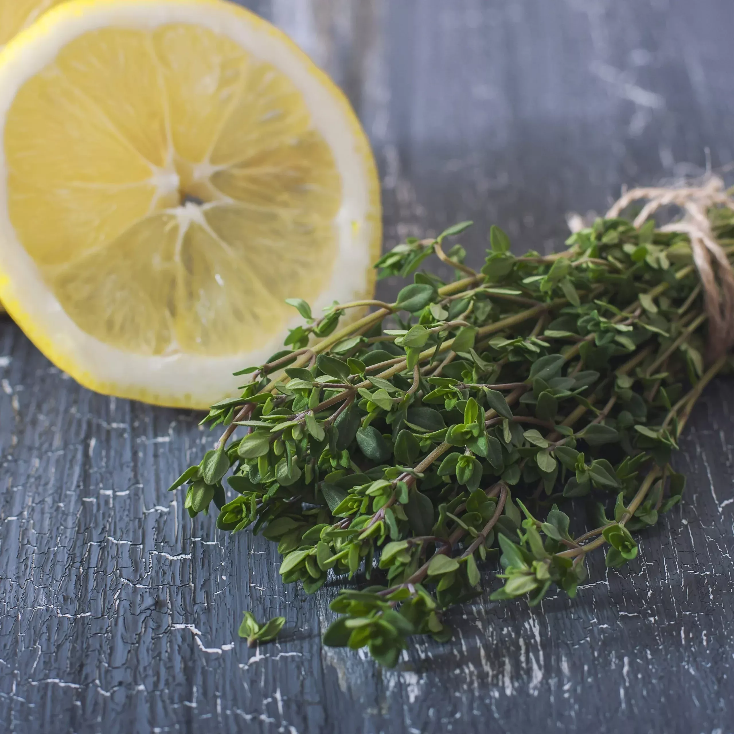 lemon-thyme-2-pack Lemon Thyme(2 Pack)