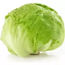 lettuce-iceberg Lettuce – Iceberg