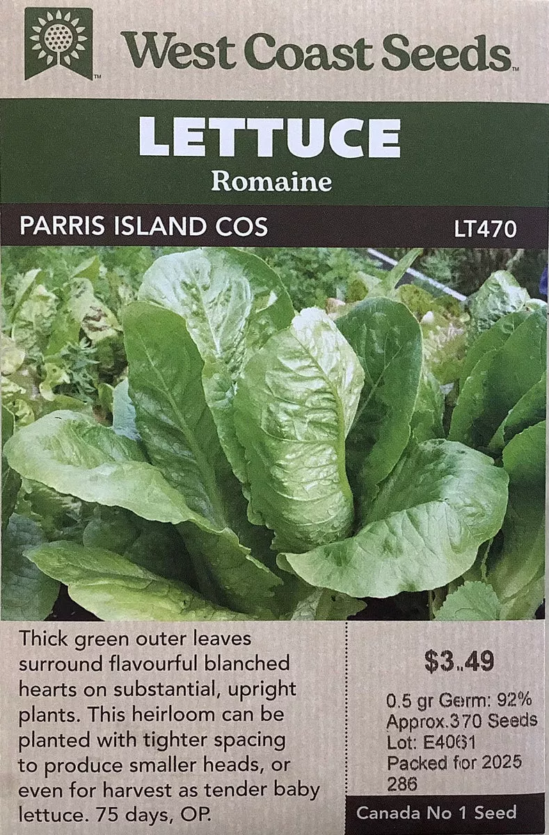 Lettuce - Parris Island